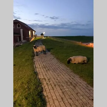 شقة Tiny House 1d *