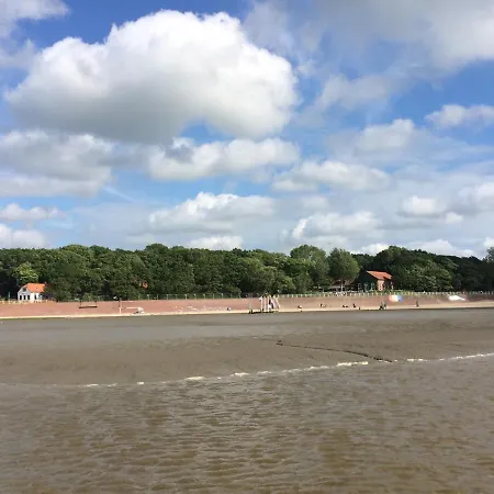 Tiny House 1d Apartment