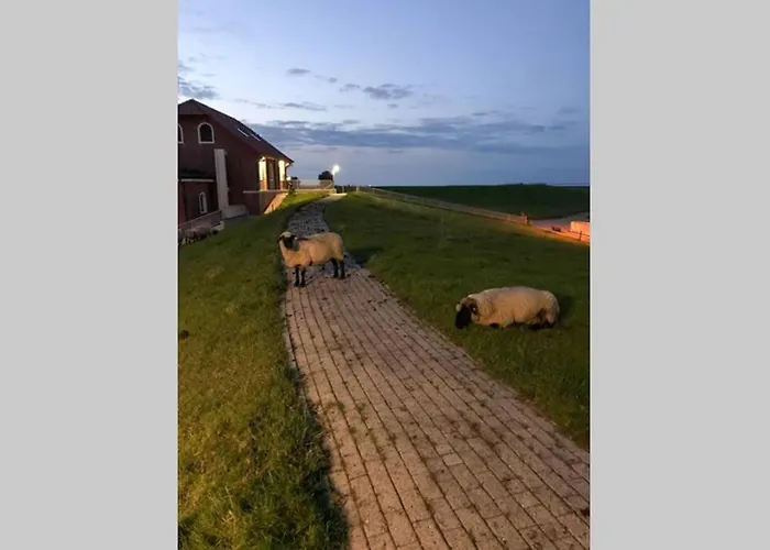 公寓 Tiny House 1d *